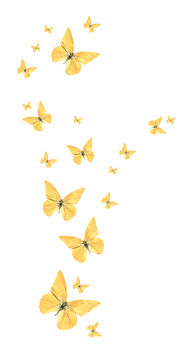 Papillons jaunes