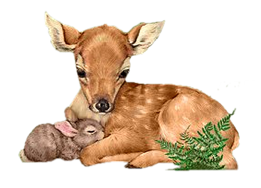 Bambi et ses amis
