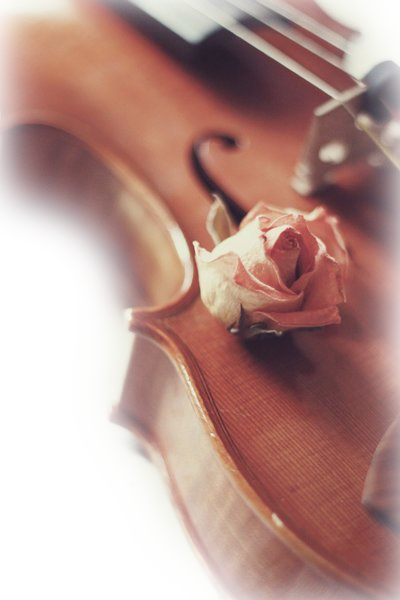 Mon coeur est un violon