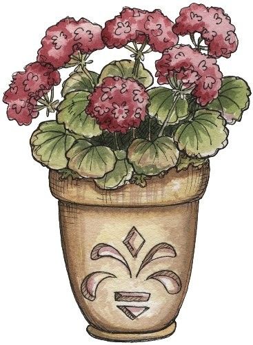 Jolies fleurs en pots