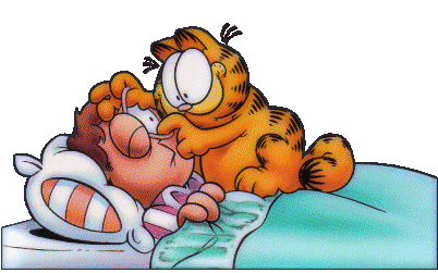 Garfield mon ami
